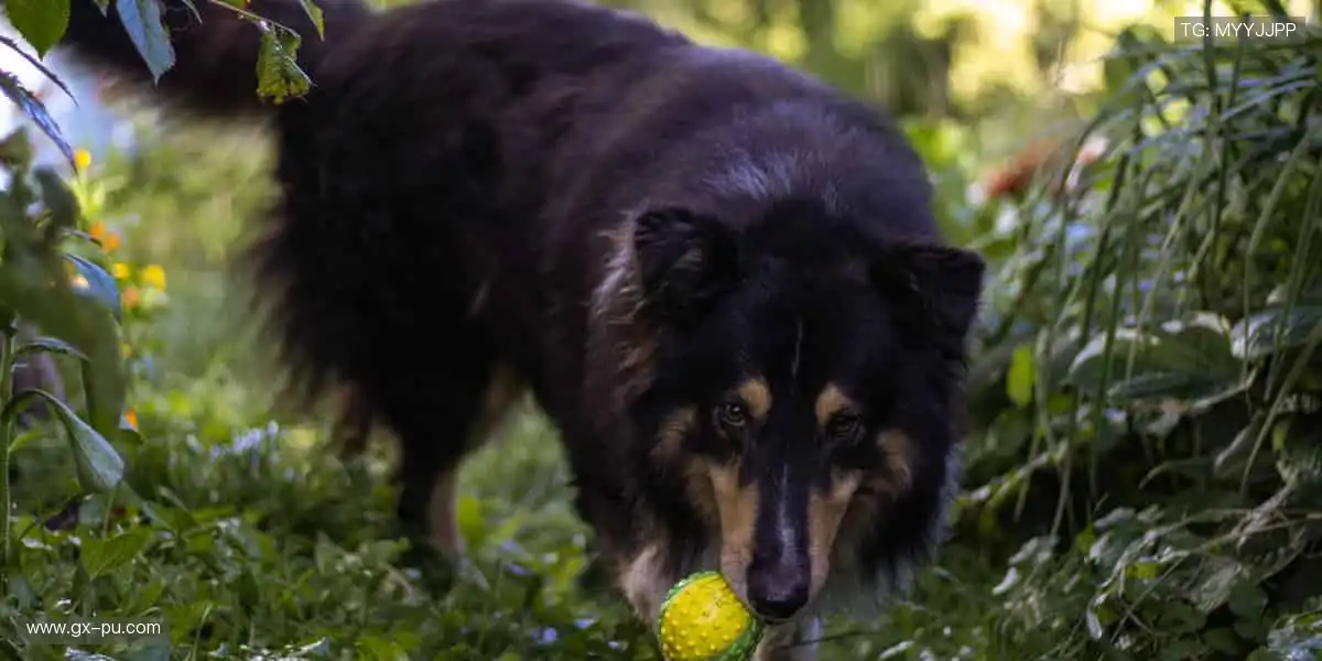 周边潮品，让热爱触手可及！🎯💥
